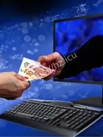 上海女子卢某诈骗案